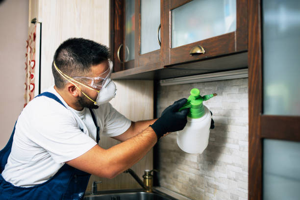 Best Emergency Pest Control  in Plains, MT