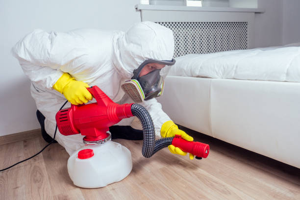 Pest Prevention Services in Plains, MT