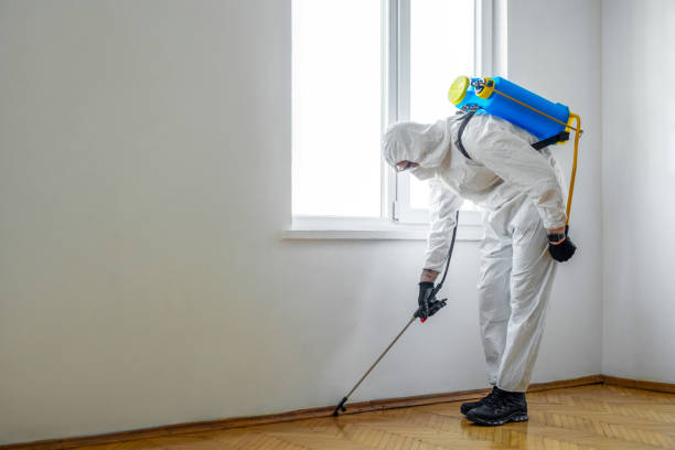 Best Bed Bug Extermination  in Plains, MT