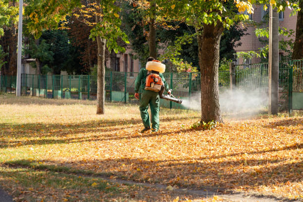 Best Pest Prevention Services  in Plains, MT
