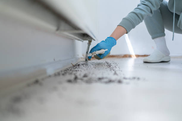 Best Best Pest Control Companies  in Plains, MT